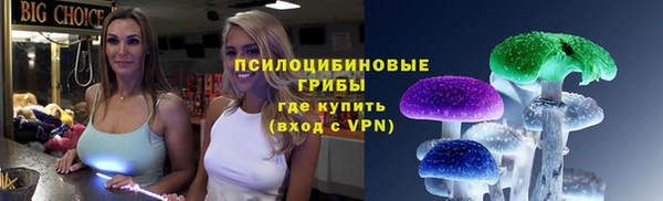 кокс Арсеньев