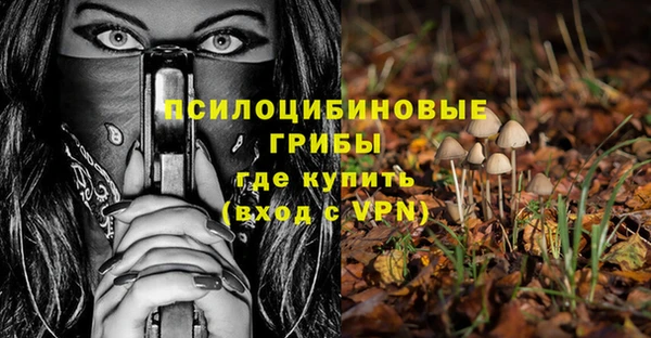 дурь Аркадак