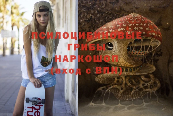 дурь Аркадак